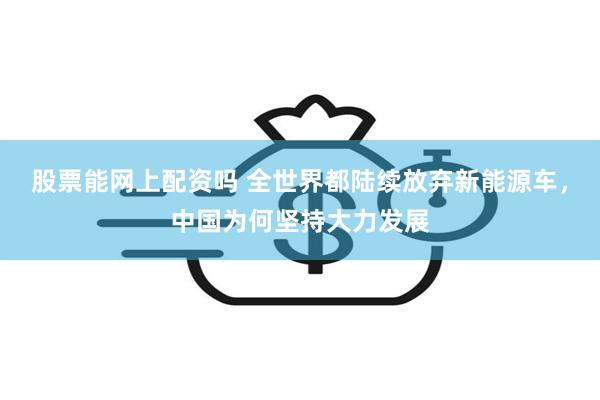 股票能网上配资吗 全世界都陆续放弃新能源车，中国为何坚持大力发展