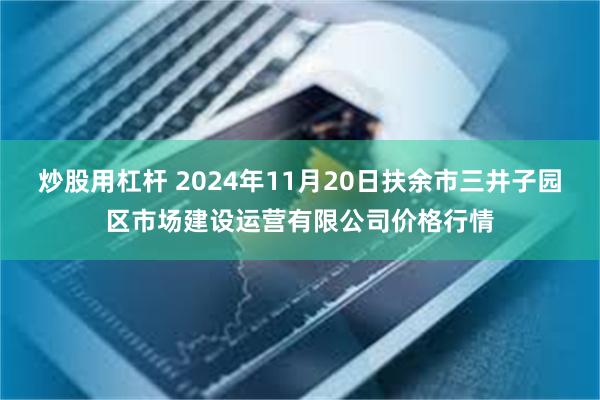 炒股用杠杆 2024年11月20日扶余市三井子园区市场建设运营有限公司价格行情