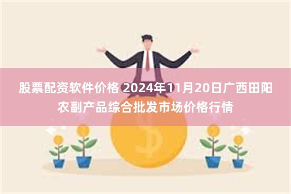 股票配资软件价格 2024年11月20日广西田阳农副产品综合批发市场价格行情