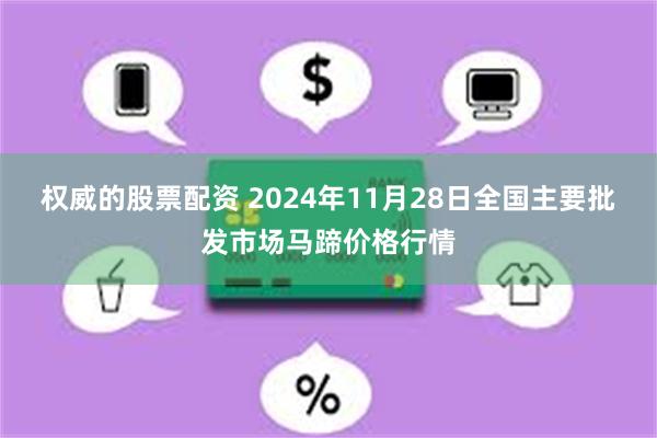 权威的股票配资 2024年11月28日全国主要批发市场马蹄价格行情