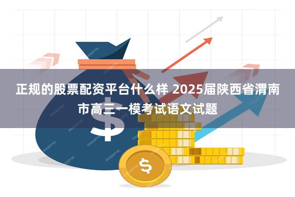 正规的股票配资平台什么样 2025届陕西省渭南市高三一模考试语文试题