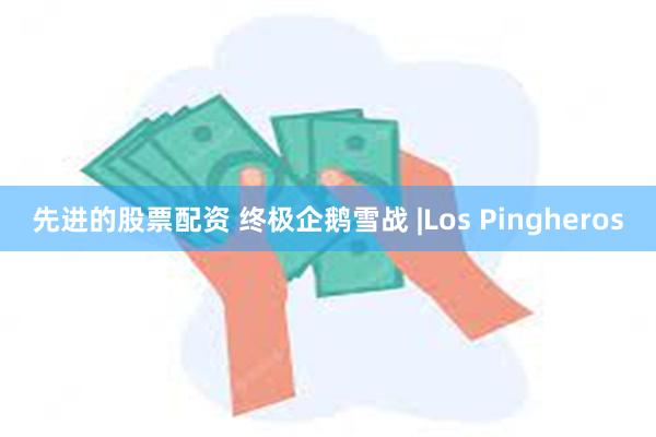 先进的股票配资 终极企鹅雪战 |Los Pingheros