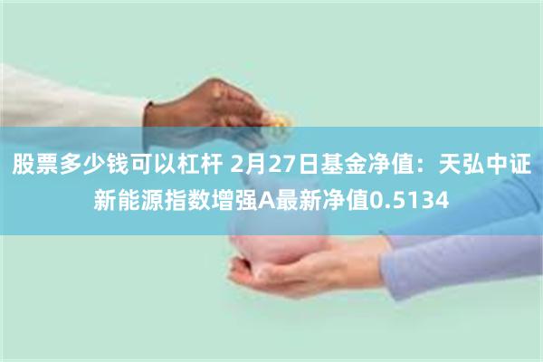 股票多少钱可以杠杆 2月27日基金净值：天弘中证新能源指数增强A最新净值0.5134