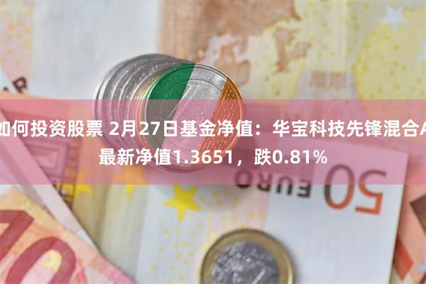 如何投资股票 2月27日基金净值：华宝科技先锋混合A最新净值1.3651，跌0.81%