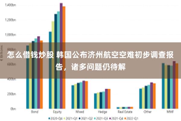 怎么借钱炒股 韩国公布济州航空空难初步调查报告，诸多问题仍待解